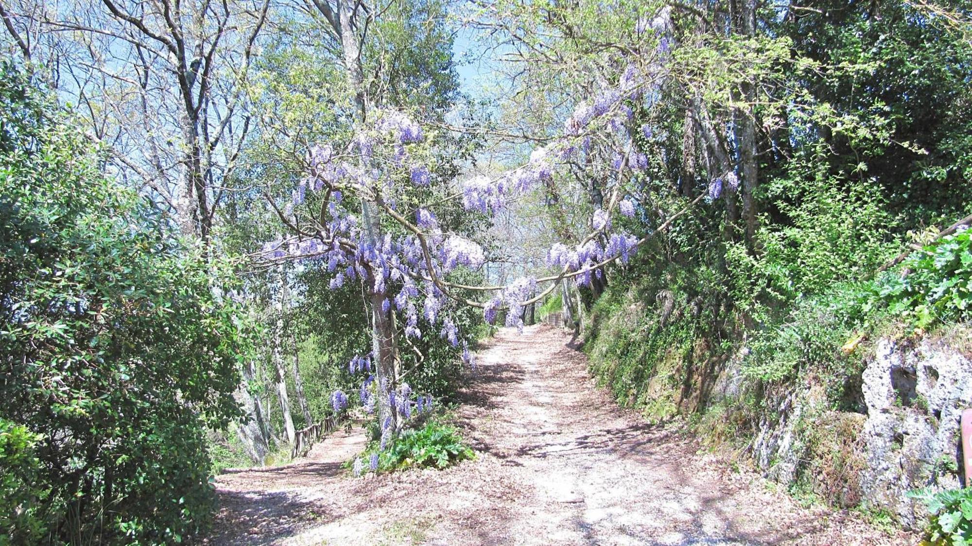 Montecasciano Primula Villa Capranica Eksteriør bilde