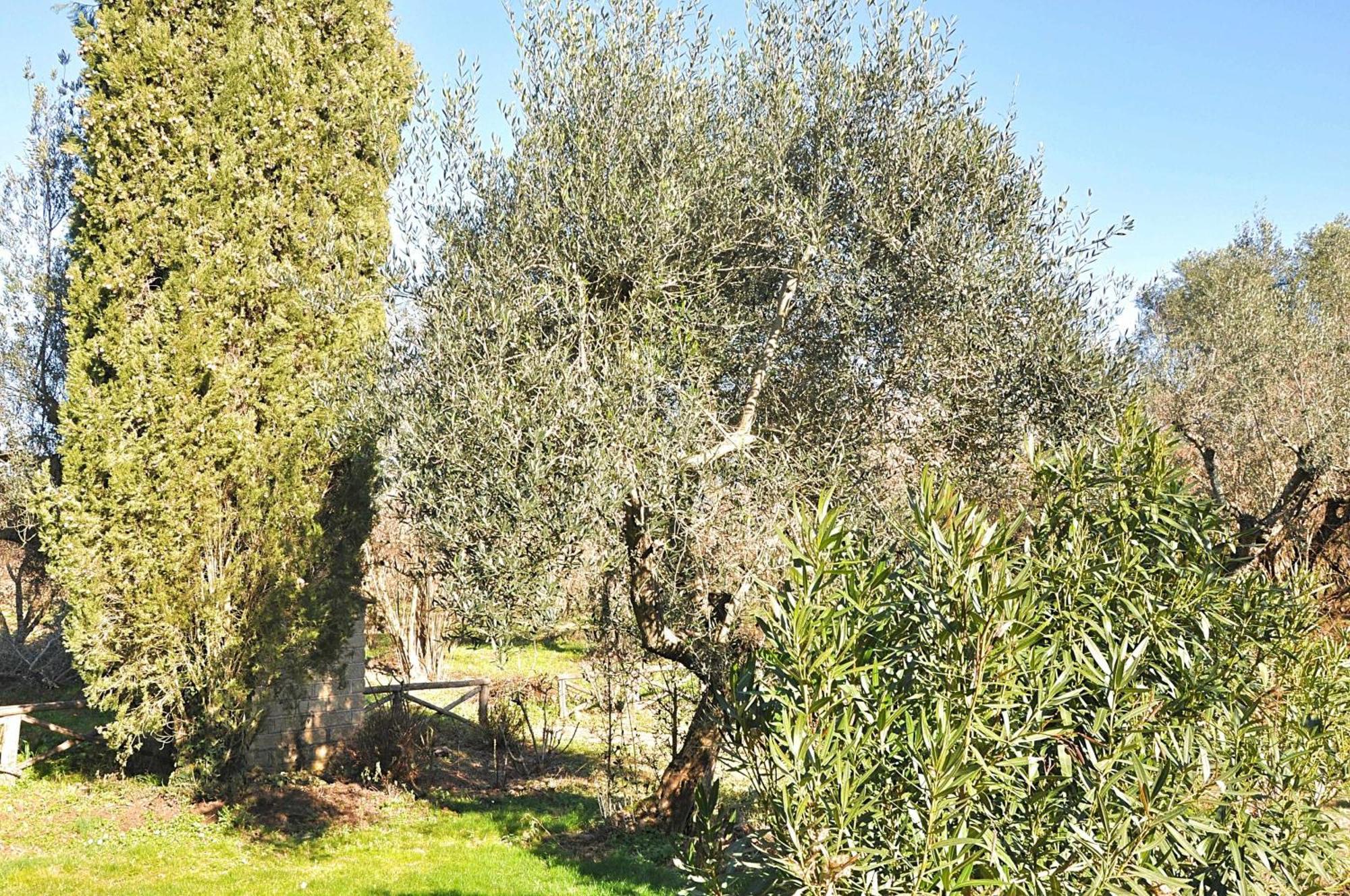 Montecasciano Primula Villa Capranica Eksteriør bilde