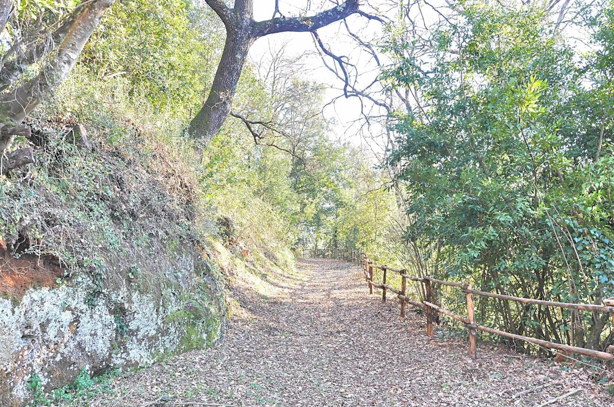 Montecasciano Primula Villa Capranica Eksteriør bilde